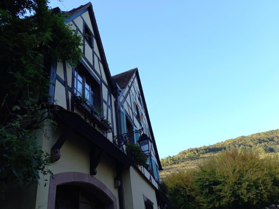 S'Gleina Gleck, In The Heart Of A Wine City, Charmant Studio 1 Piece Et 1 Salle De Bain Kaysersberg-Vignoble Luaran gambar