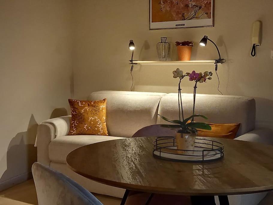 S'Gleina Gleck, In The Heart Of A Wine City, Charmant Studio 1 Piece Et 1 Salle De Bain Kaysersberg-Vignoble Luaran gambar